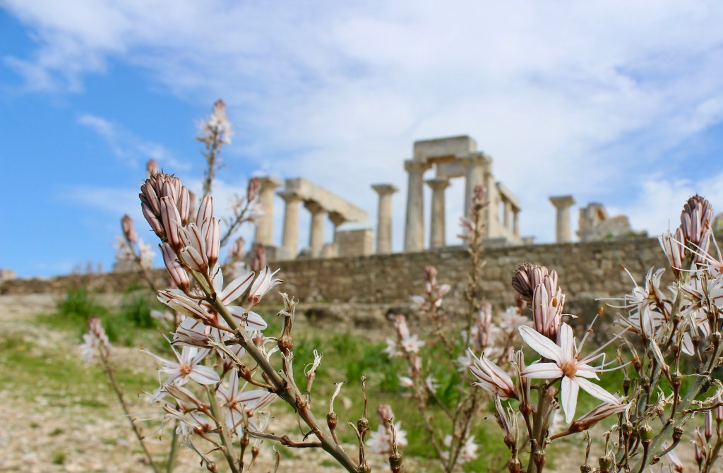 Breakfast at Aeginitiko Archontiko