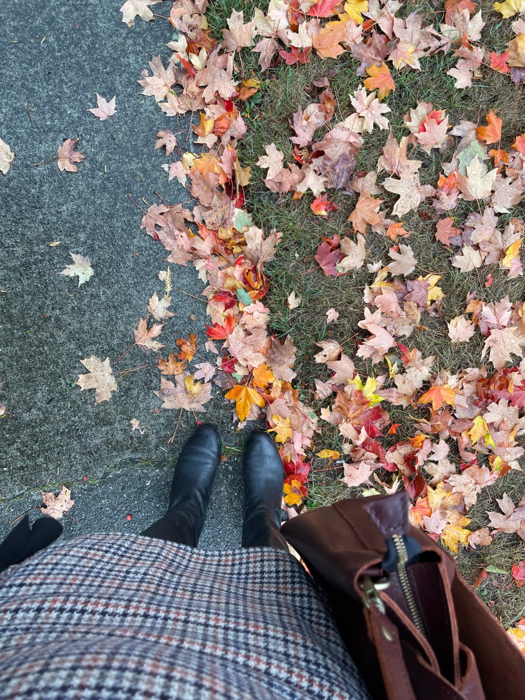 Letting the days slip by