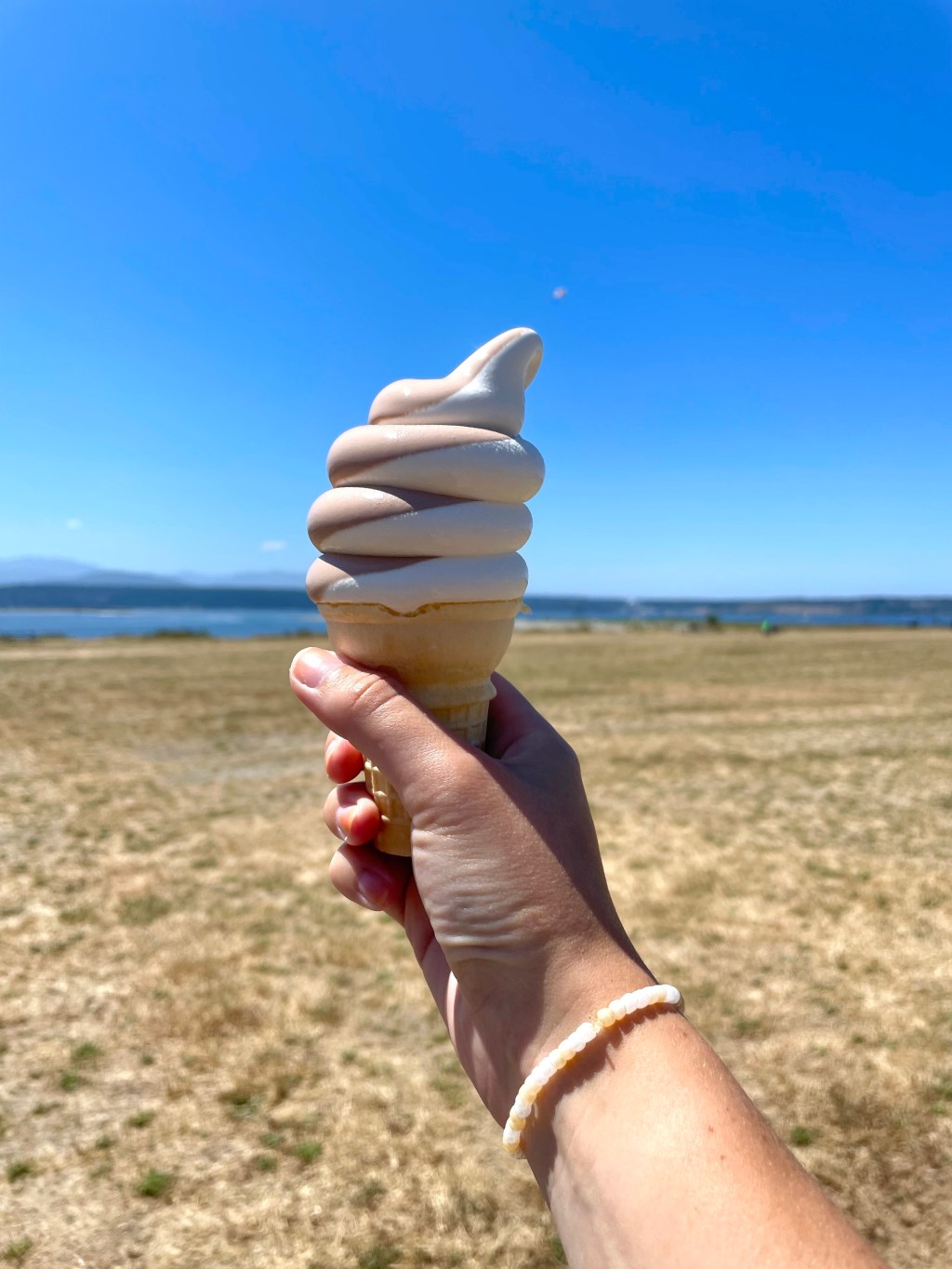 Summer Diary: Lessons in Slowness